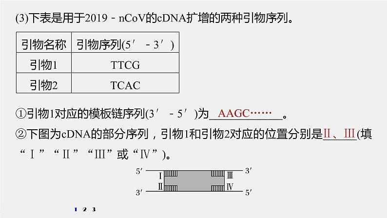 高中生物2022年高考生物一轮复习 第10单元 强化练21　PCR技术的应用课件PPT03