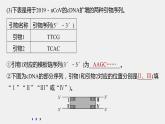 高中生物2022年高考生物一轮复习 第10单元 强化练21　PCR技术的应用课件PPT