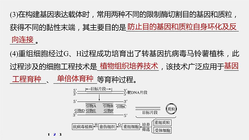 高中生物2022年高考生物一轮复习 第10单元 强化练21　PCR技术的应用课件PPT08