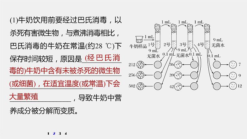 高中生物2022年高考生物一轮复习 第11单元 强化练23　微生物的培养与应用课件PPT05