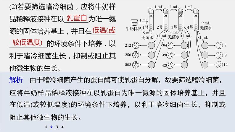 高中生物2022年高考生物一轮复习 第11单元 强化练23　微生物的培养与应用课件PPT07