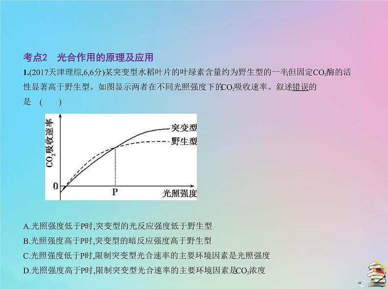 高中生物2020届高考生物一轮复习专题6光合作用课件第4页