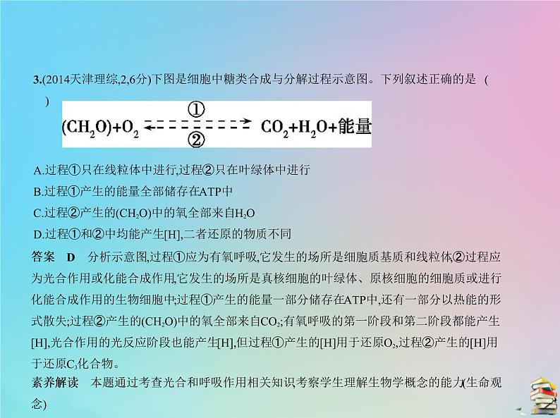 高中生物2020届高考生物一轮复习专题6光合作用课件第7页