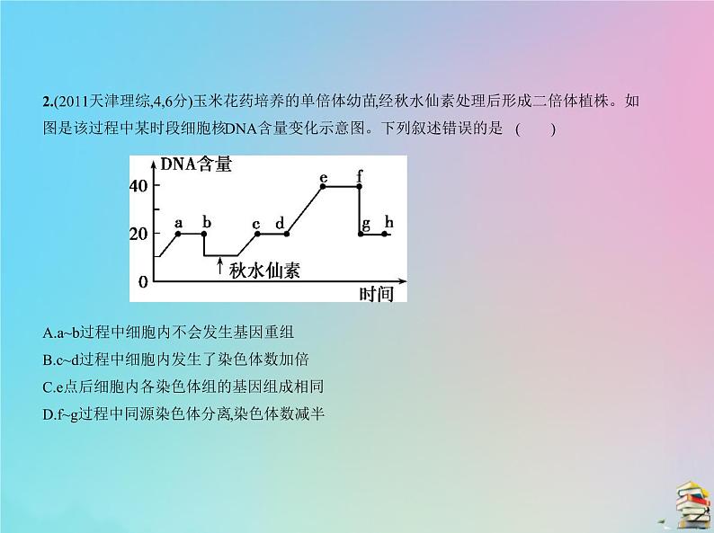 高中生物2020届高考生物一轮复习专题7细胞的增殖课件03