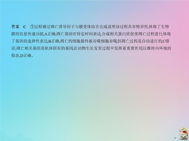 高中生物2020届高考生物一轮复习专题8细胞的分化衰老凋亡和癌变课件第6页