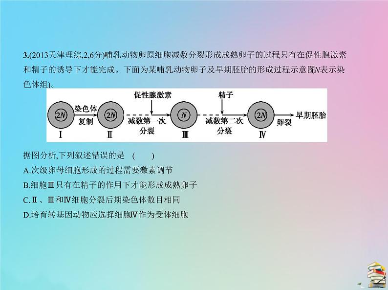 高中生物2020届高考生物一轮复习专题9遗传的细胞基次件课件PPT第5页