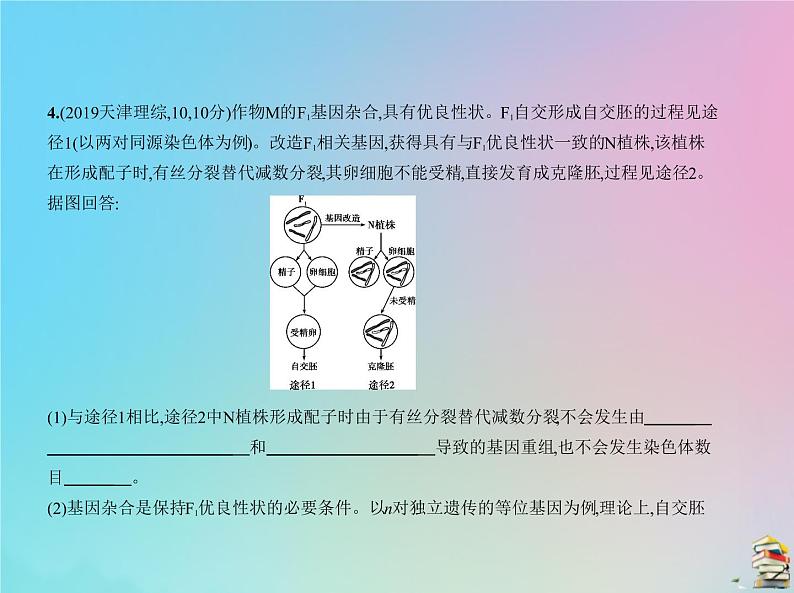 高中生物2020届高考生物一轮复习专题9遗传的细胞基次件课件PPT第7页