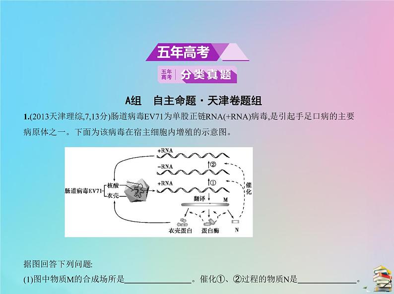 高中生物2020届高考生物一轮复习专题10遗传的分子基次件课件PPT第2页