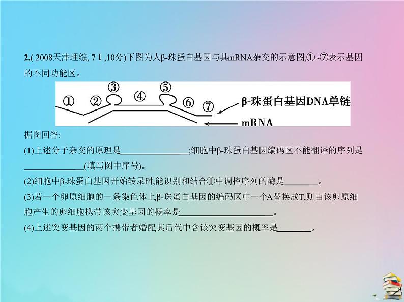 高中生物2020届高考生物一轮复习专题10遗传的分子基次件课件PPT第5页