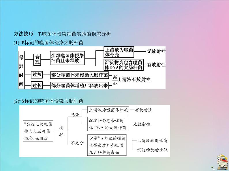 高中生物2020届高考生物一轮复习专题10遗传的分子基次件课件PPT第8页