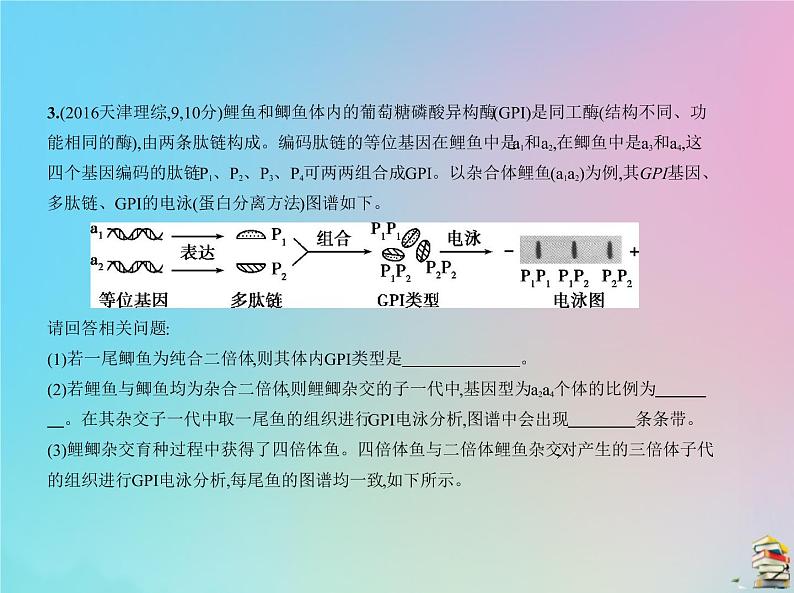 高中生物2020届高考生物一轮复习专题11基因的分离定律课件第8页