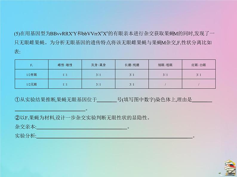 高中生物2020届高考生物一轮复习专题12基因的自由组合定律课件08