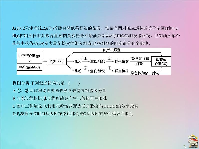 高中生物2020届高考生物一轮复习专题14生物的变异与育种课件第6页