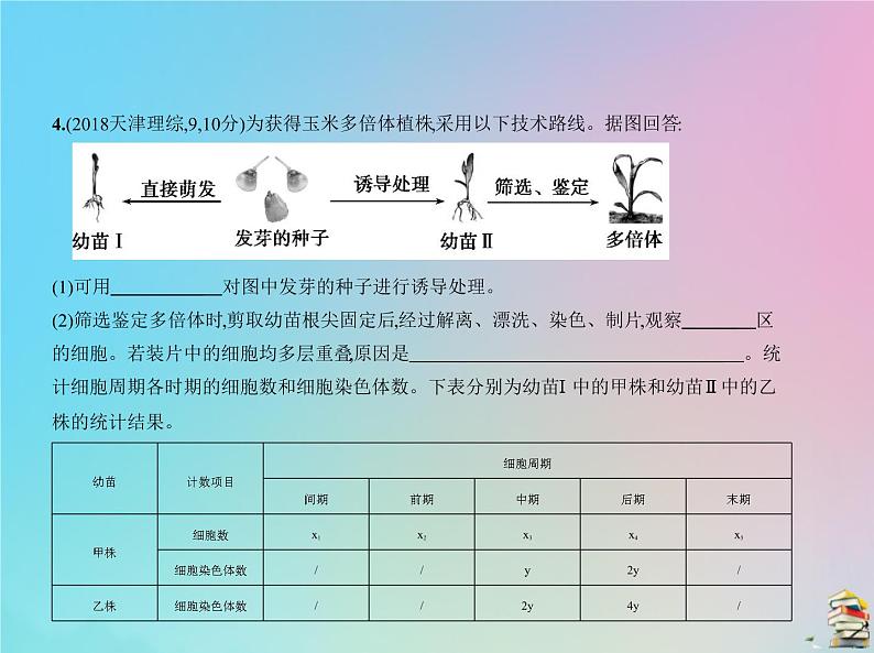 高中生物2020届高考生物一轮复习专题14生物的变异与育种课件第8页