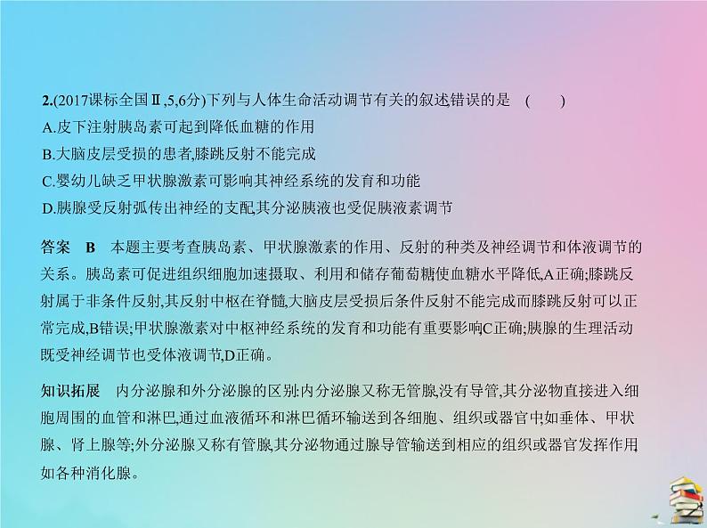 高中生物2020届高考生物一轮复习专题17人和高等动物的神经调节课件第4页