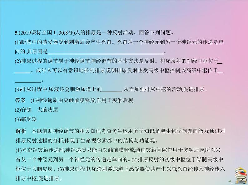 高中生物2020届高考生物一轮复习专题17人和高等动物的神经调节课件第7页