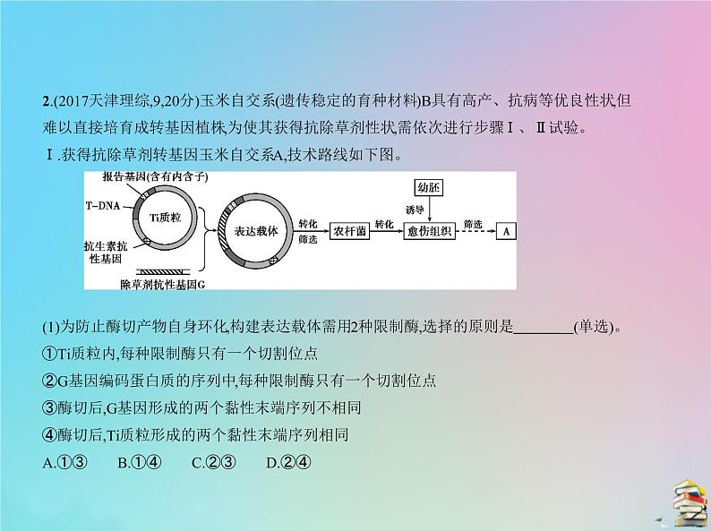 高中生物2020届高考生物一轮复习专题25基因工程包括PCR技术课件第6页