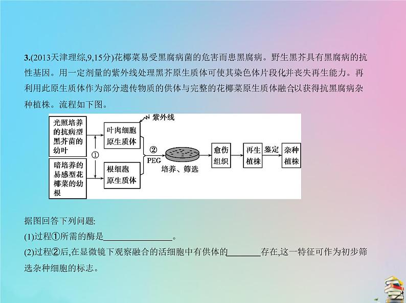 高中生物2020届高考生物一轮复习专题26细胞工程含胚胎工程生物技术安全性与伦理问题课件07