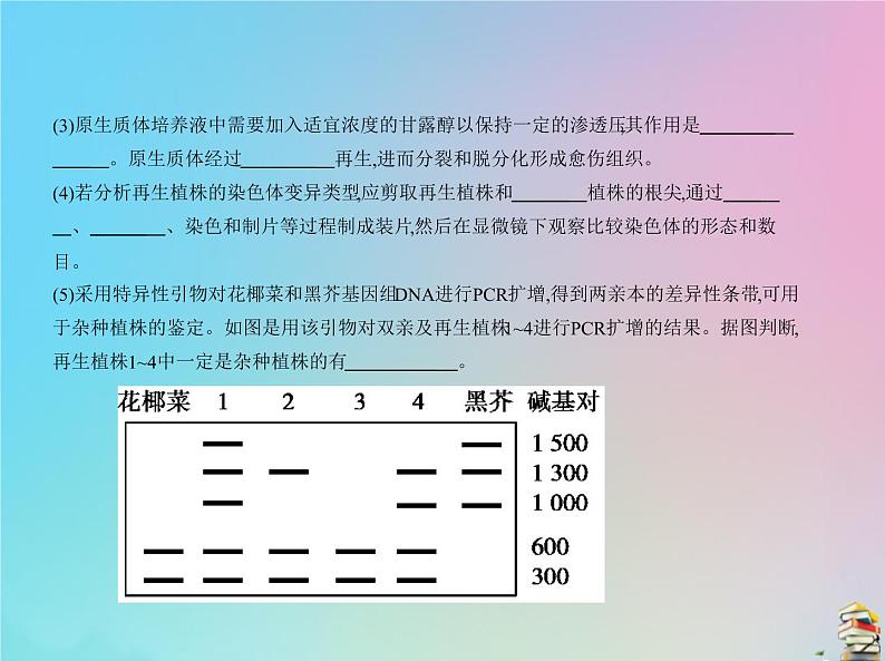 高中生物2020届高考生物一轮复习专题26细胞工程含胚胎工程生物技术安全性与伦理问题课件08