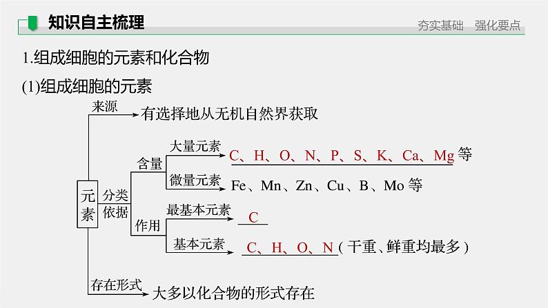 高中生物2022年高考生物一轮复习 第1单元 第2讲　细胞中的无机物、糖类和脂质课件PPT第5页