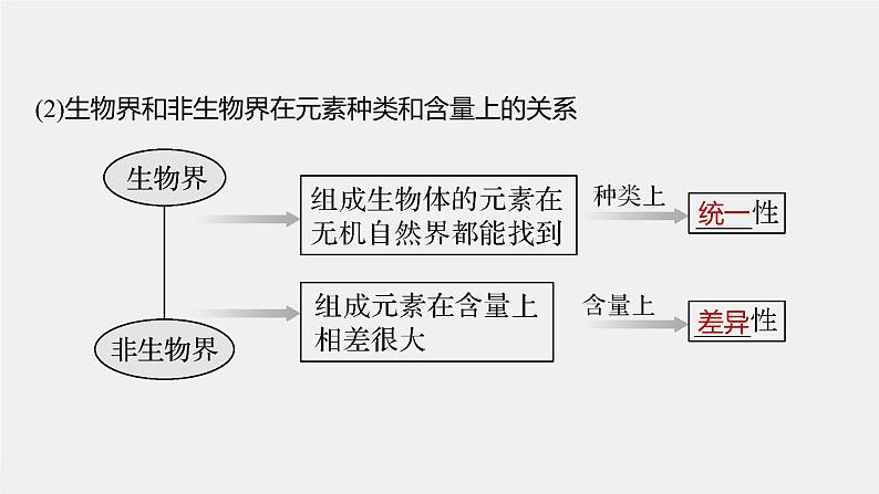 高中生物2022年高考生物一轮复习 第1单元 第2讲　细胞中的无机物、糖类和脂质课件PPT第6页