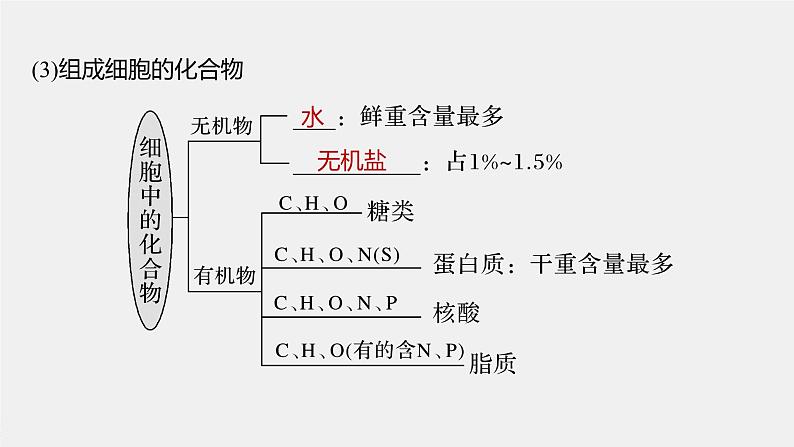 高中生物2022年高考生物一轮复习 第1单元 第2讲　细胞中的无机物、糖类和脂质课件PPT第7页