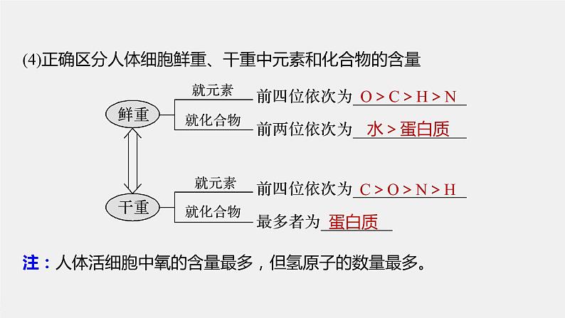 高中生物2022年高考生物一轮复习 第1单元 第2讲　细胞中的无机物、糖类和脂质课件PPT第8页