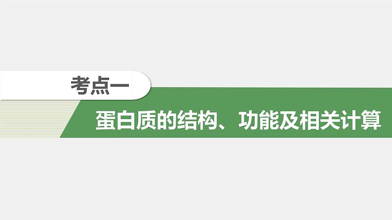 高中生物2022年高考生物一轮复习 第1单元 第3讲 　蛋白质和核酸课件PPT第4页