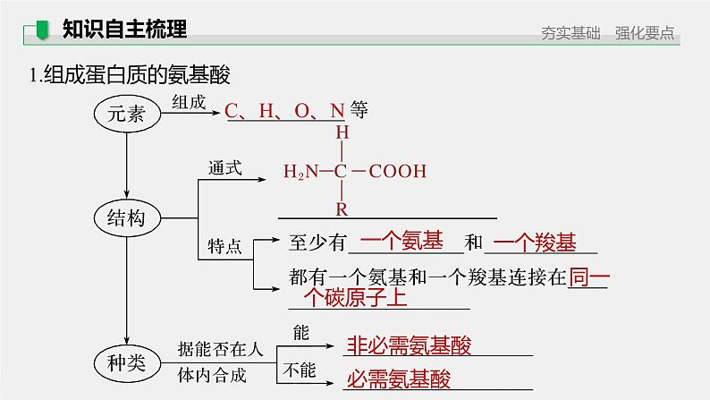 高中生物2022年高考生物一轮复习 第1单元 第3讲 　蛋白质和核酸课件PPT第5页