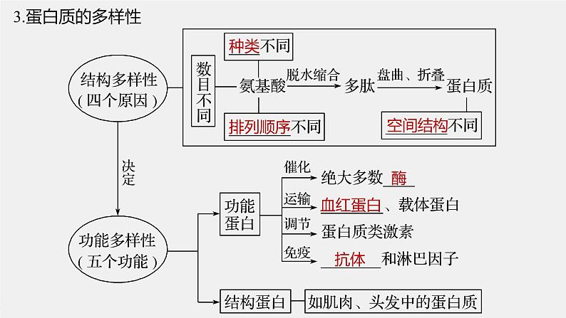 高中生物2022年高考生物一轮复习 第1单元 第3讲 　蛋白质和核酸课件PPT第8页