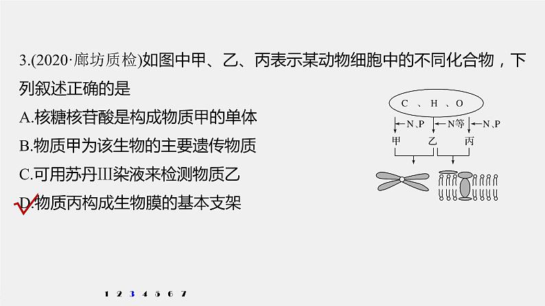 高中生物2022年高考生物一轮复习 第1单元 强化练1　细胞中的有机物课件PPT第6页