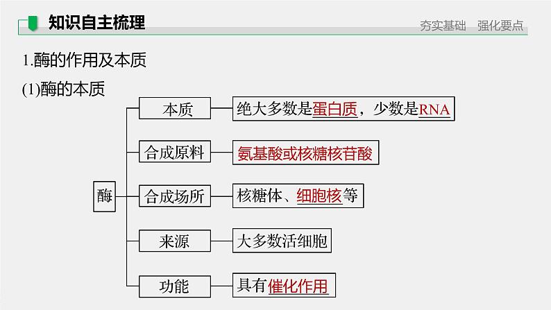 高中生物2022年高考生物一轮复习 第3单元 第7讲　酶课件PPT05