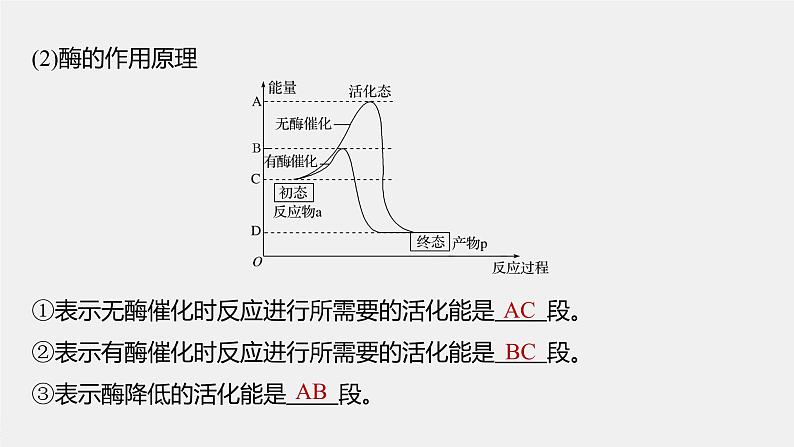 高中生物2022年高考生物一轮复习 第3单元 第7讲　酶课件PPT07