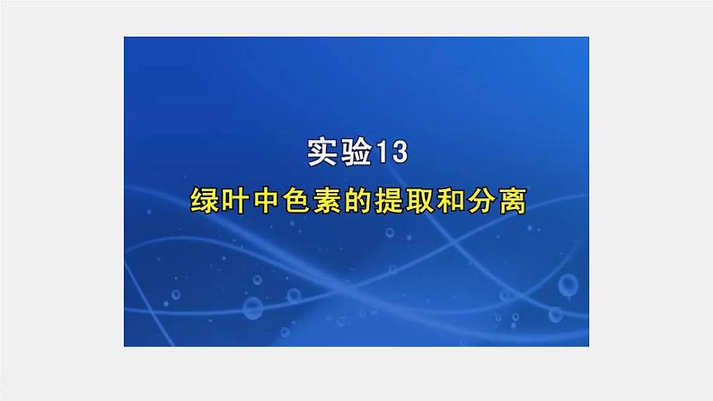 高中生物2022年高考生物一轮复习 第3单元 第9讲　光与光合作用课件PPT第6页