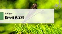 高中生物2023年高考生物一轮复习（新人教新高考） 第10单元 第3课时　植物细胞工程课件PPT