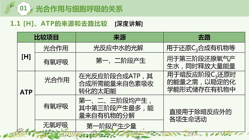 高中生物专题3.4 光合作用和呼吸作用的应用提升课综合（优质课件）-2021年高考生物大一轮复习紧跟教材第7页