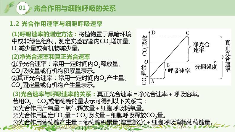 高中生物专题3.4 光合作用和呼吸作用的应用提升课综合（优质课件）-2021年高考生物大一轮复习紧跟教材第8页