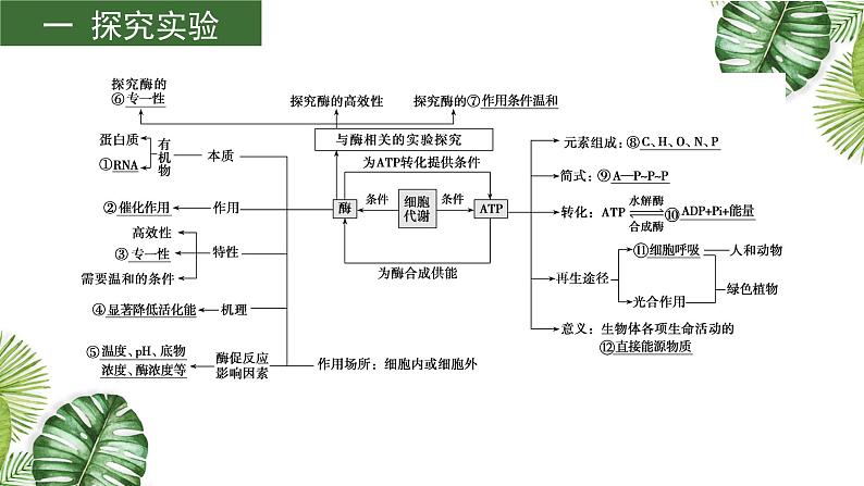 高中生物专题04 酶和ATP-2021年高考备考生物一轮复习课件第3页
