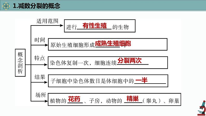 高中生物专题4.2 减数分裂和受精作用（优质课件）-2021年高考生物大一轮复习紧跟教材第7页