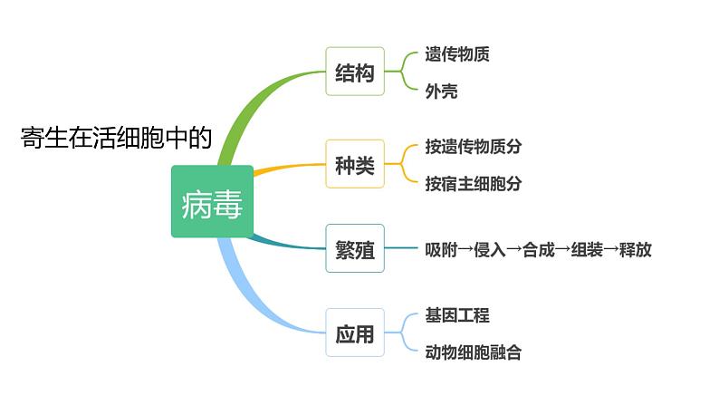 高中生物专题05 病毒-2021年高考生物一轮复习知识精讲课件第2页