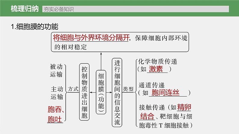 高中生物2023年高考生物一轮复习（新人教新高考） 第2单元 第1课时　细胞膜的结构和功能课件PPT第3页