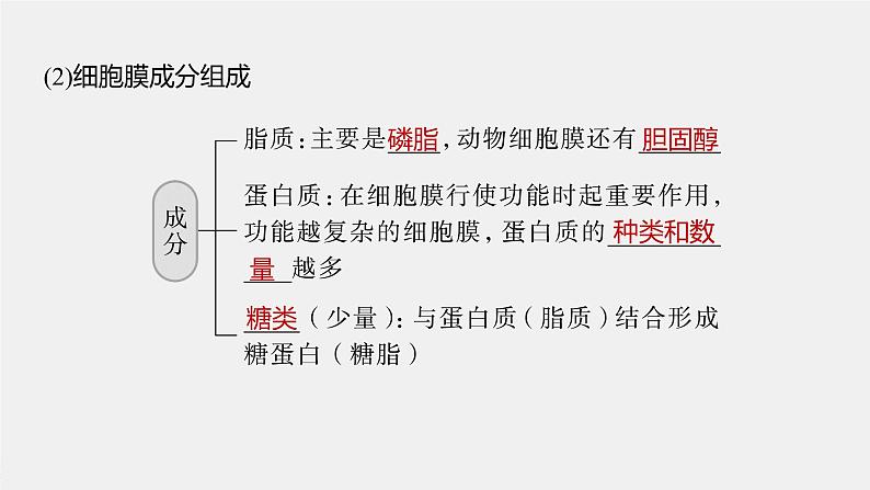 高中生物2023年高考生物一轮复习（新人教新高考） 第2单元 第1课时　细胞膜的结构和功能课件PPT第8页