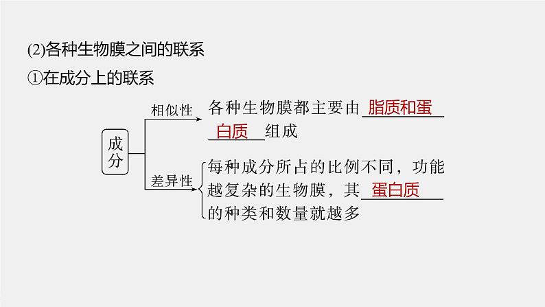 高中生物2023年高考生物一轮复习（新人教新高考） 第2单元 第3课时　细胞器之间的协调配合课件PPT05