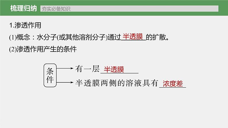 高中生物2023年高考生物一轮复习（新人教新高考） 第2单元 第5课时　水进出细胞的原理课件PPT第5页