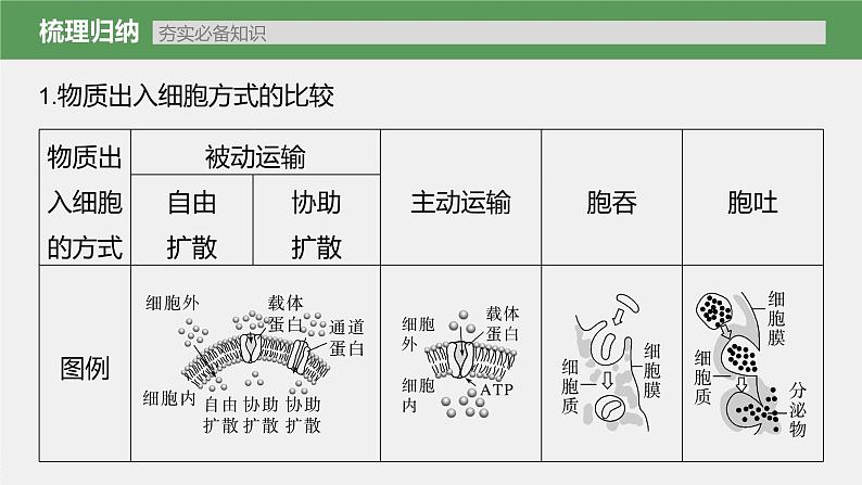 高中生物2023年高考生物一轮复习（新人教新高考） 第2单元 第6课时　物质出入细胞的方式及影响因素课件PPT03