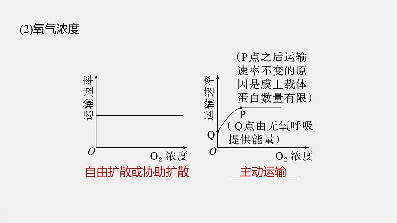 高中生物2023年高考生物一轮复习（新人教新高考） 第2单元 第6课时　物质出入细胞的方式及影响因素课件PPT08