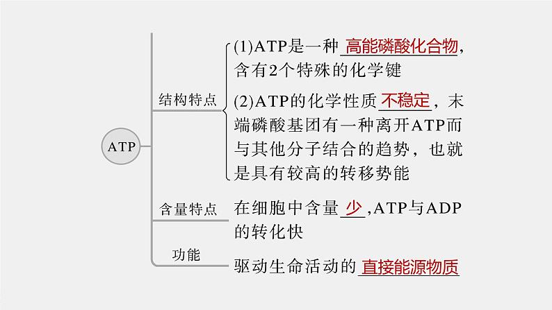 高中生物2023年高考生物一轮复习（新人教新高考） 第3单元 第2课时　细胞的能量“货币”ATP课件PPT第5页