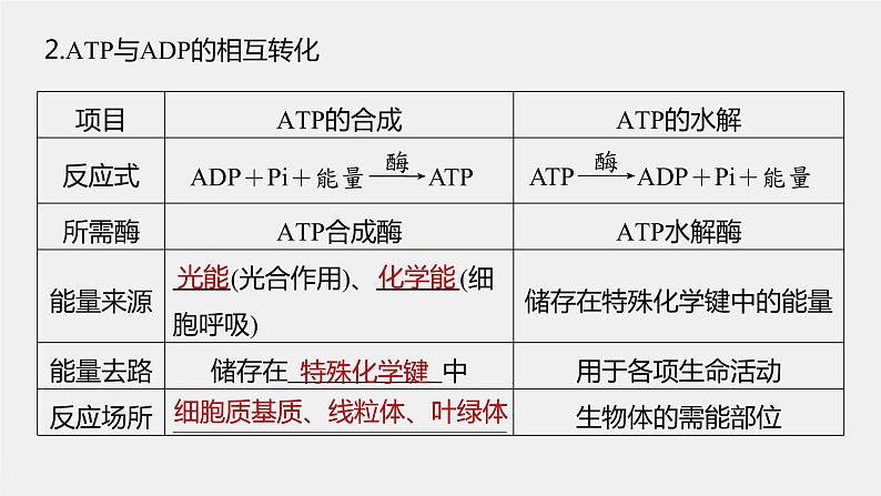 高中生物2023年高考生物一轮复习（新人教新高考） 第3单元 第2课时　细胞的能量“货币”ATP课件PPT第7页
