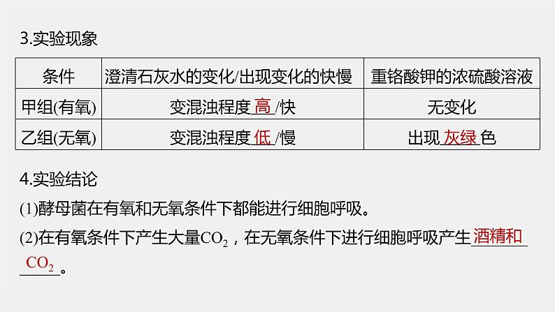 高中生物2023年高考生物一轮复习（新人教新高考） 第3单元 第3课时　细胞呼吸的方式和过程课件PPT第8页