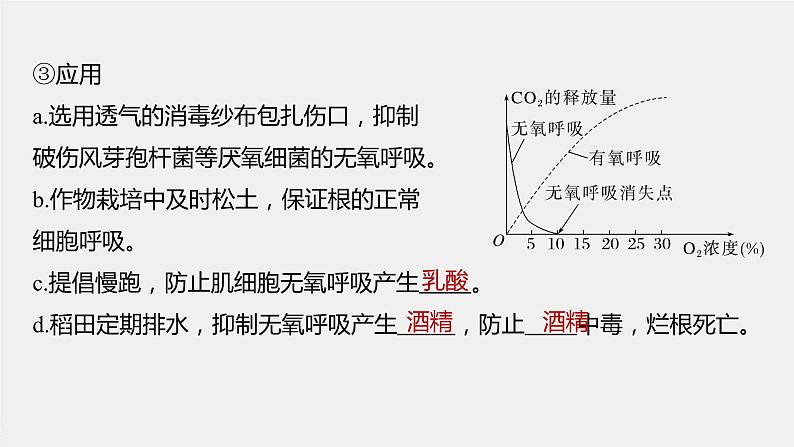 高中生物2023年高考生物一轮复习（新人教新高考） 第3单元 第4课时　细胞呼吸的影响因素及其应用课件PPT06